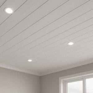 PVC Ceiling