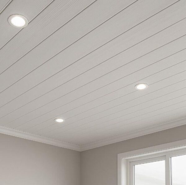 PVC Ceiling