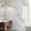 Virony/Goodwill  30by60 Tiles