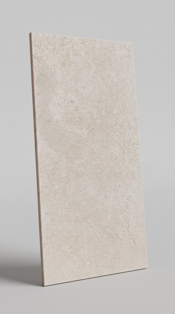 IMG_1676 CDK 30by60 Matt Tiles